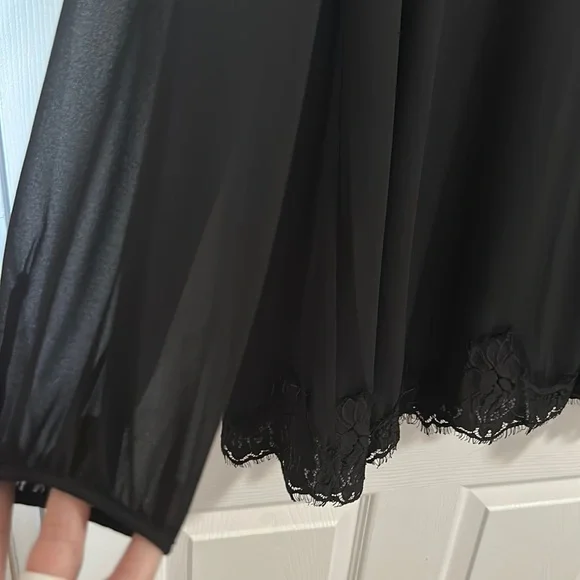 NWOT Chiffon and Lace dress - Picture 4 of 5